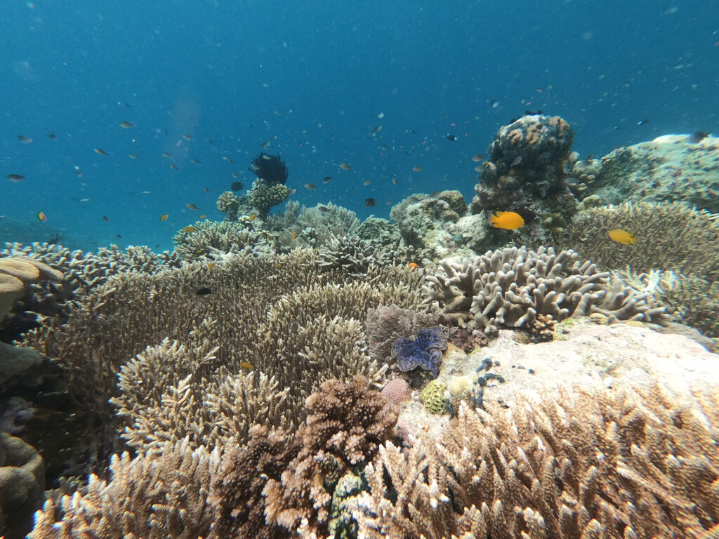 dcim100goprogopr7463.jpg